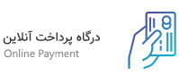 Online Payment